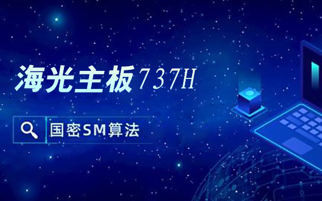 國產海光主板737H自主可控 內置SM2/3/4國密算法
